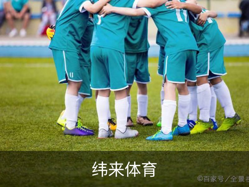 纬来体育简介